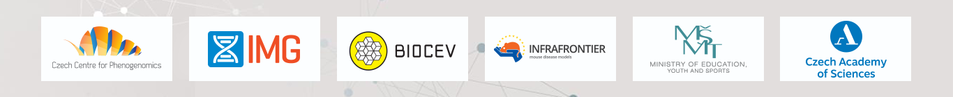 Footer image