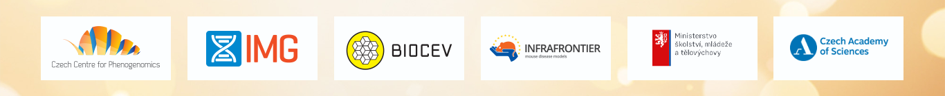 Footer image