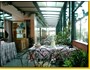 Hotel Eden