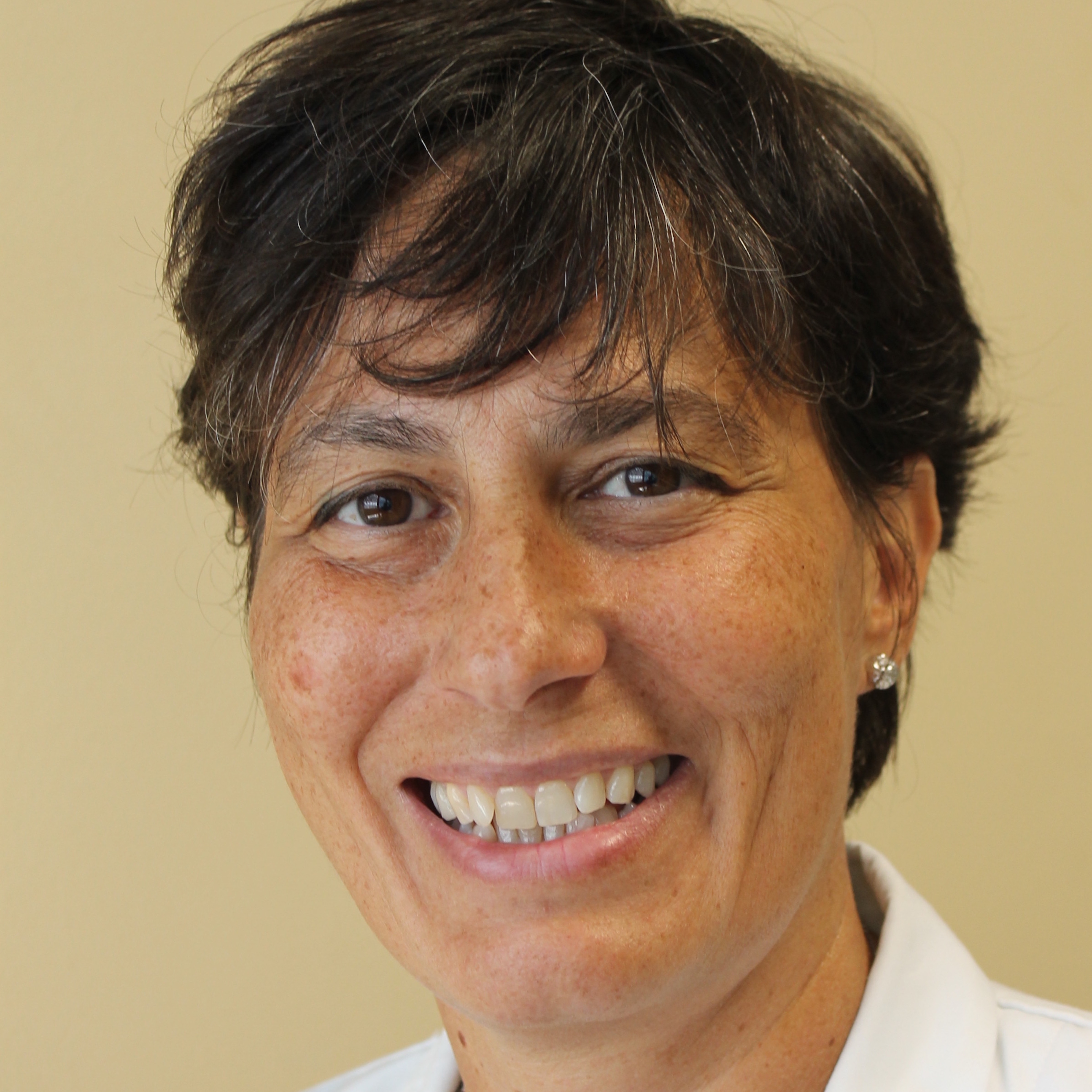 Simonetta Gerevini