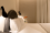 Single Room with Breakfast