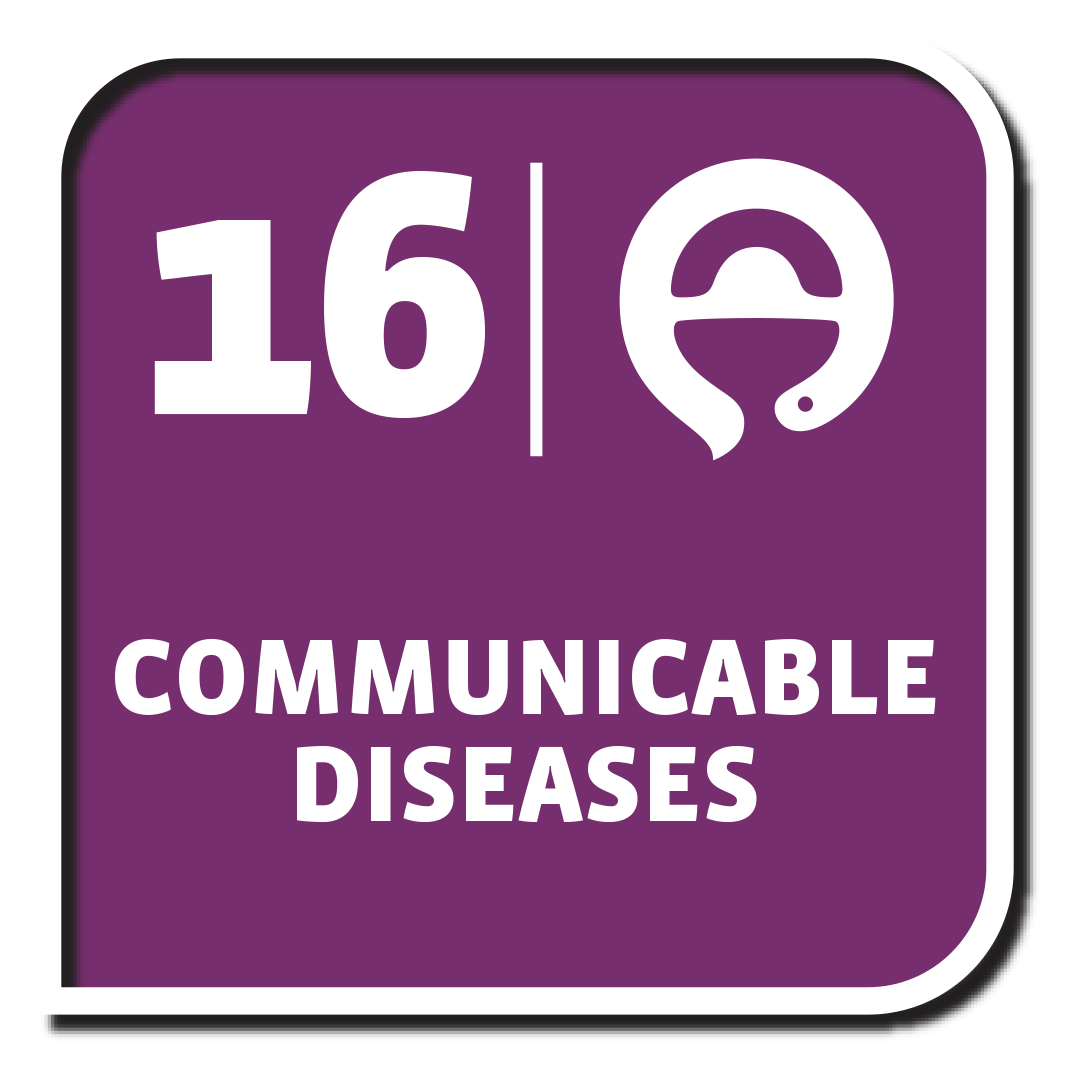 FIP DG 16