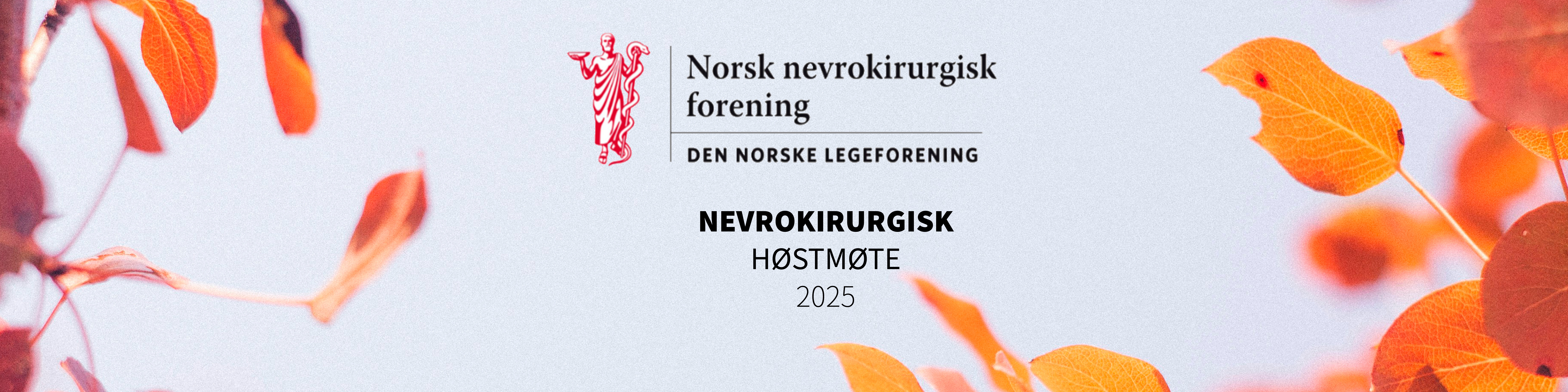 Headerbilde - Norsk nevrokirurgisk forening