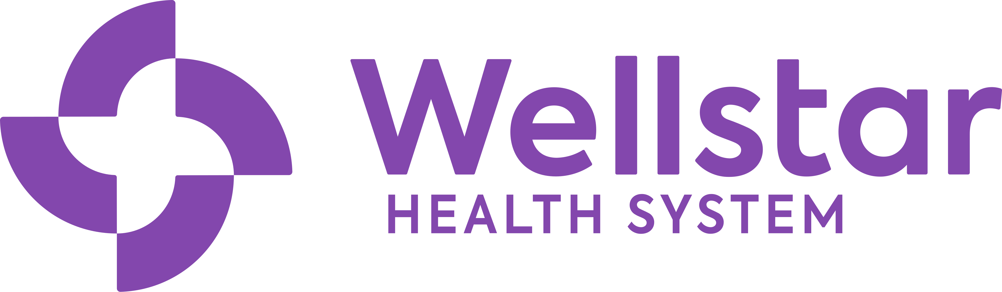 Wellstar Health System