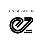 Enza zaden