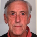 Robert Sauerwein