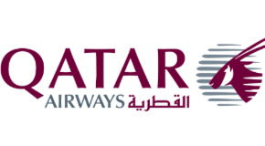 SkyTeam Logo