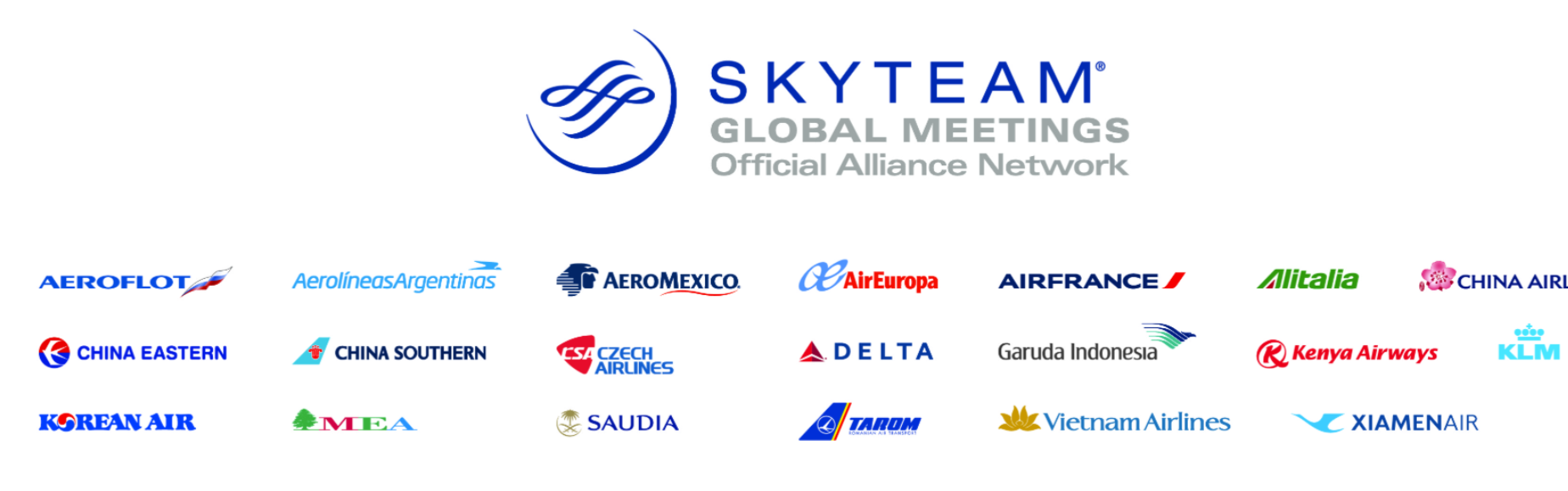 SkyTeam Logo