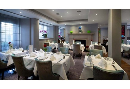 The Wellington by Blue Orchid