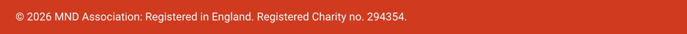 Footer image