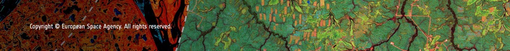 Footer image