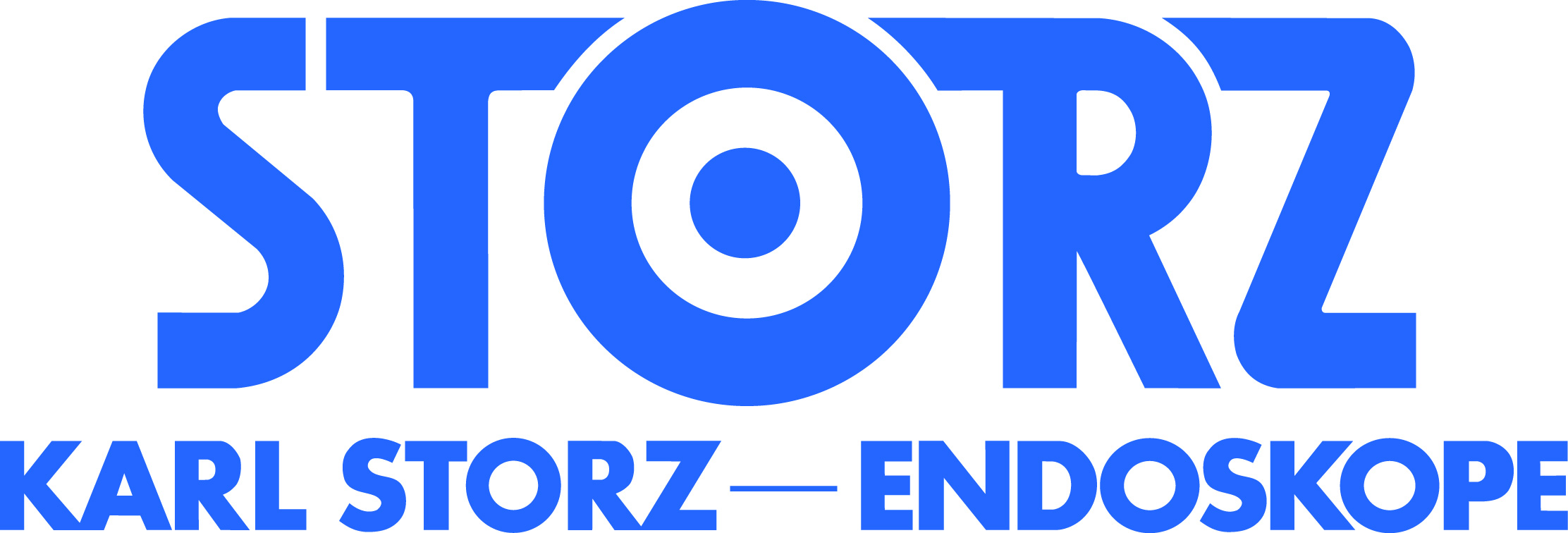 Karl Storz Logo