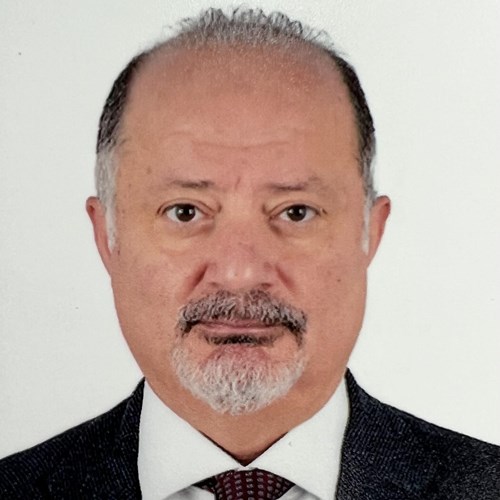 Tarek  Osman