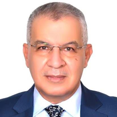 Mohsen  Elmekresh