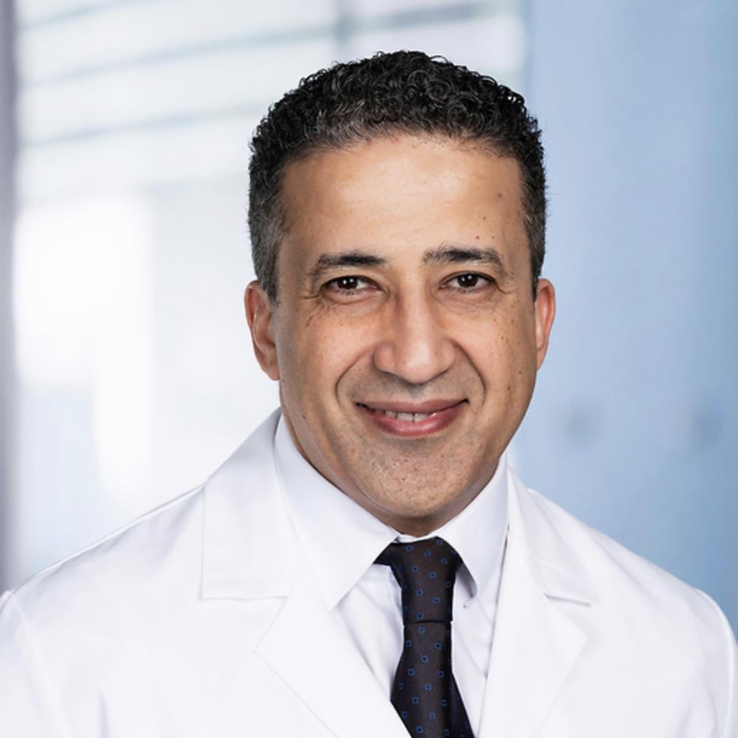 Hazem  Elmansy