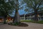 AHA Skukuza Safari Lodge