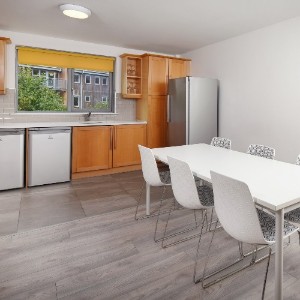 Dromroe Village Accommodation, University of Limerick (Single Occupancy Only in shared apartments)