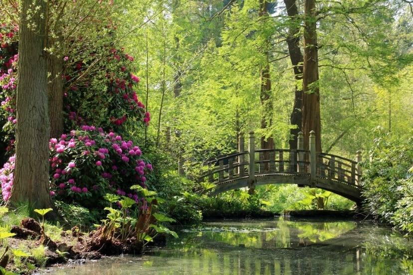 Photo of Winterbourne gardens