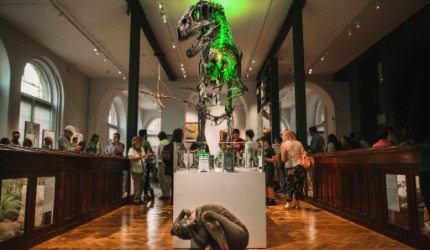 Photo of dinosaur in the Lapworth Museum