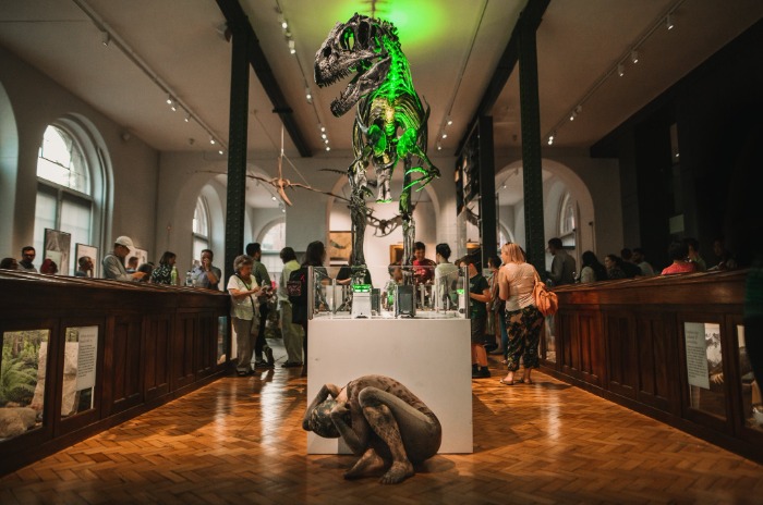 Photo of dinosaur in the Lapworth Museum