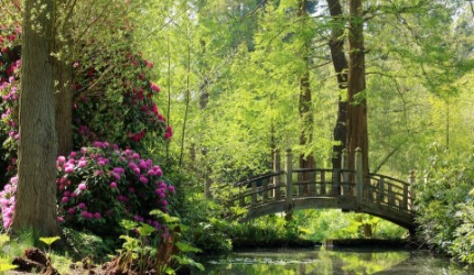 Photo of gardens and bridge at Winterbourne House