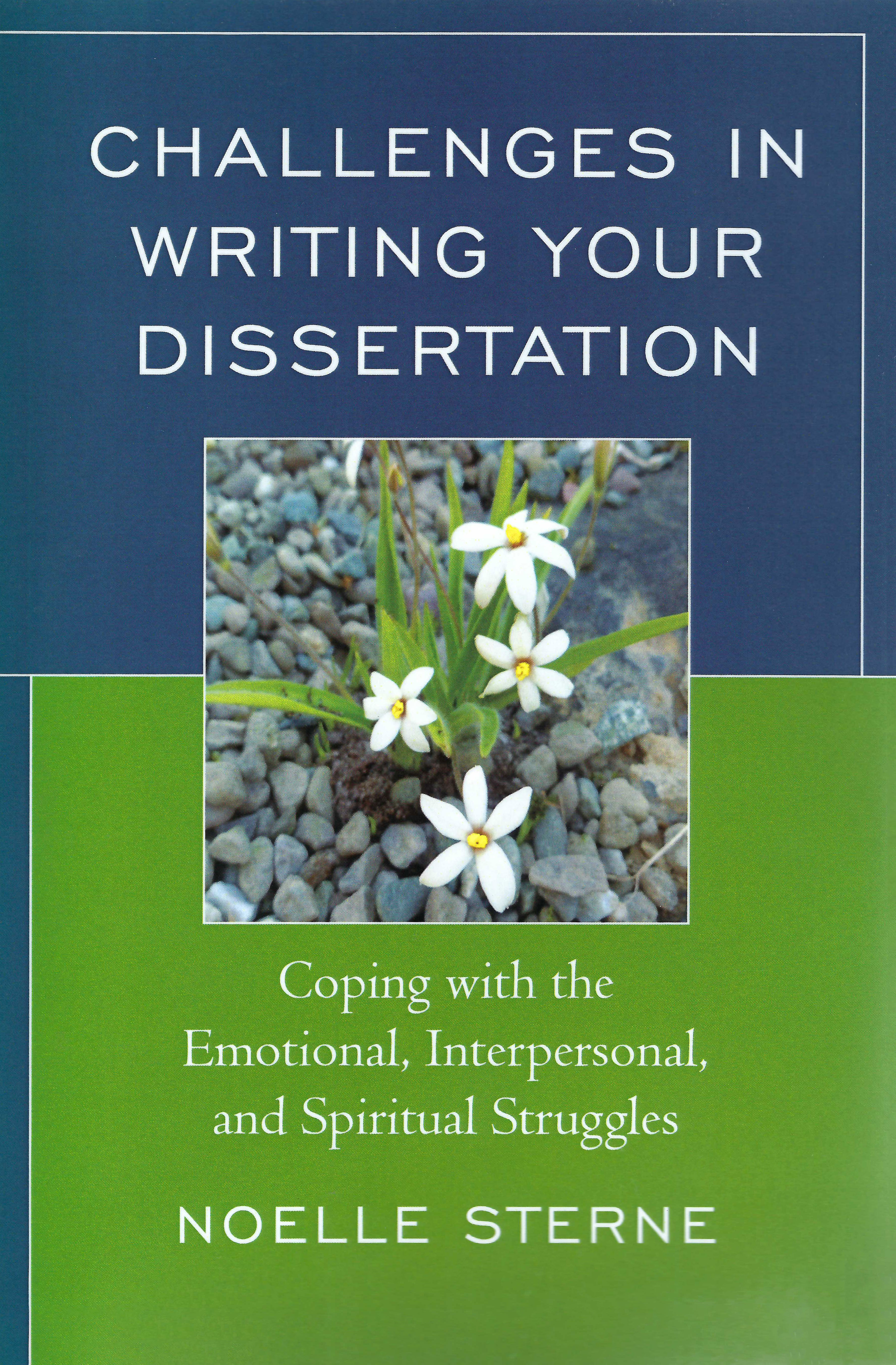 Challenges in Writing Your Dissertation